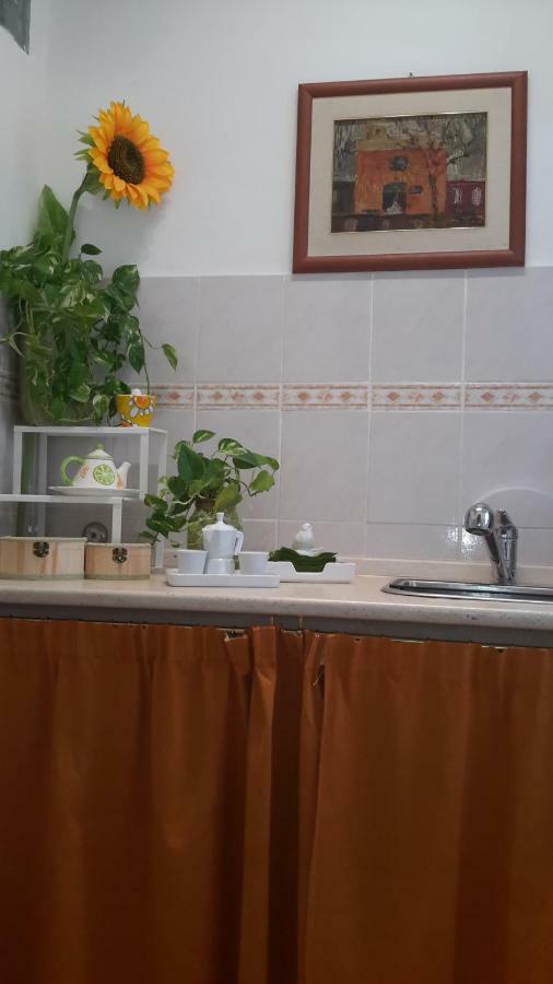 Le Tre Sorelle B&B Garbatella Róma Kültér fotó
